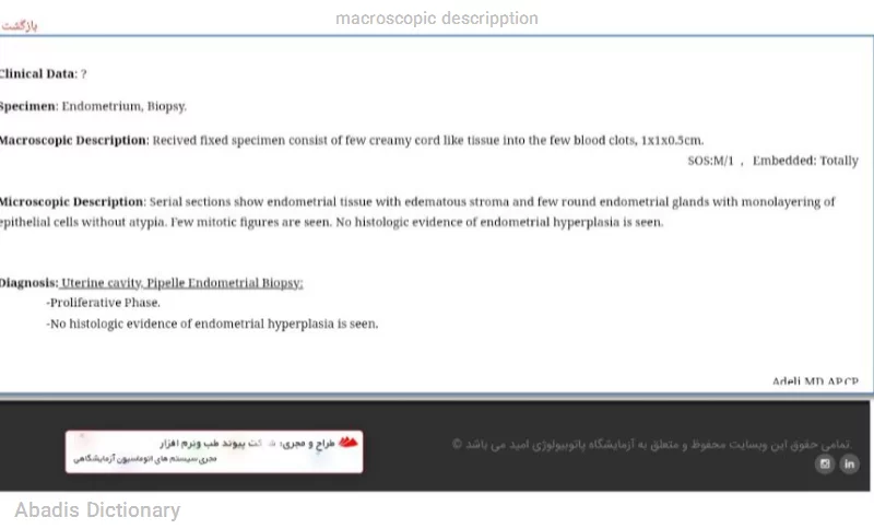 macroscopic descripption